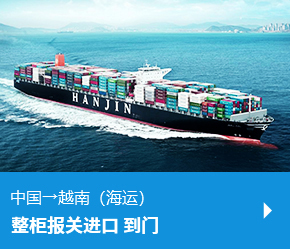 中国→越南（海运） 整柜报关进口 到门